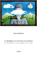 carlos sanchez,versi,libro,poesia,dinanimismo,argentina,italia